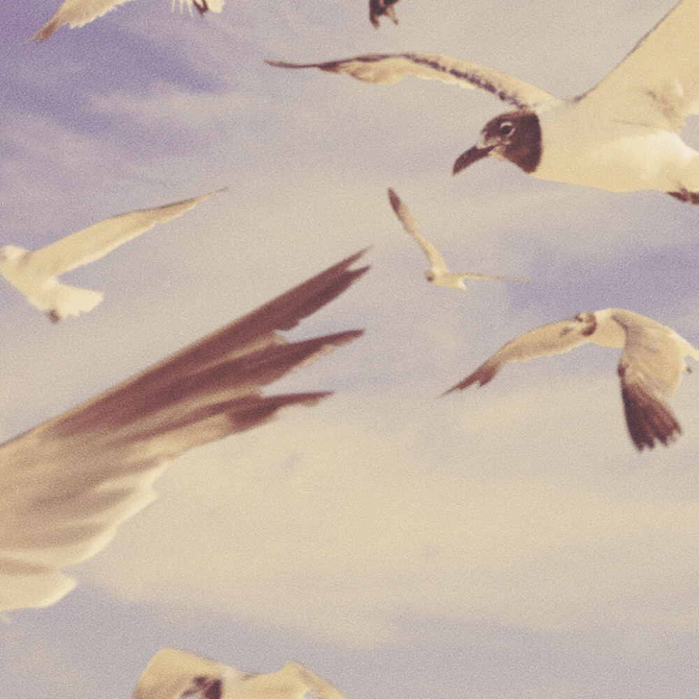 Meet your Posher, Lillian